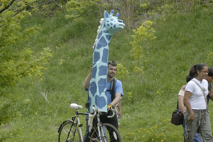 ddb 20060507 010-020