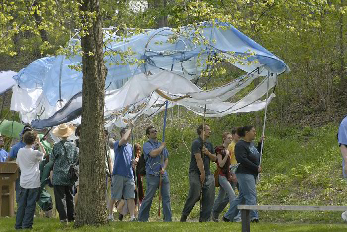 ddb 20060507 010-045