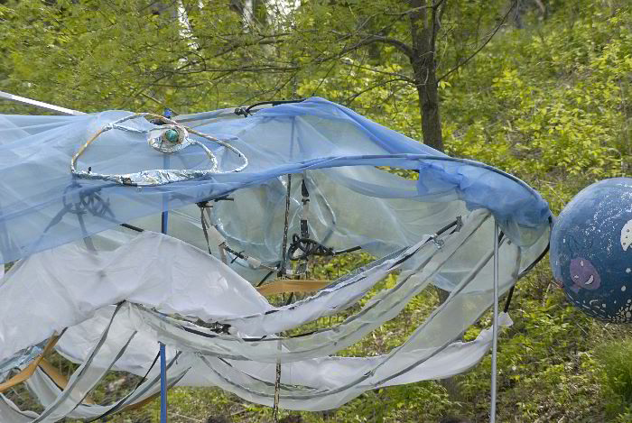 ddb 20060507 010-048