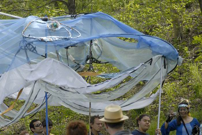 ddb 20060507 010-049