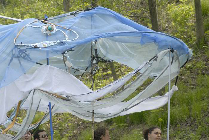 ddb 20060507 010-050