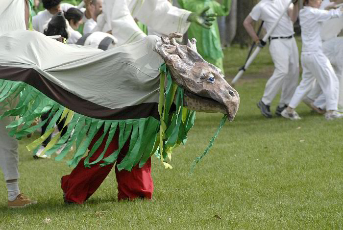 ddb 20060507 010-233