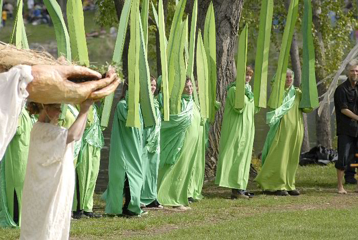 ddb 20060507 010-249