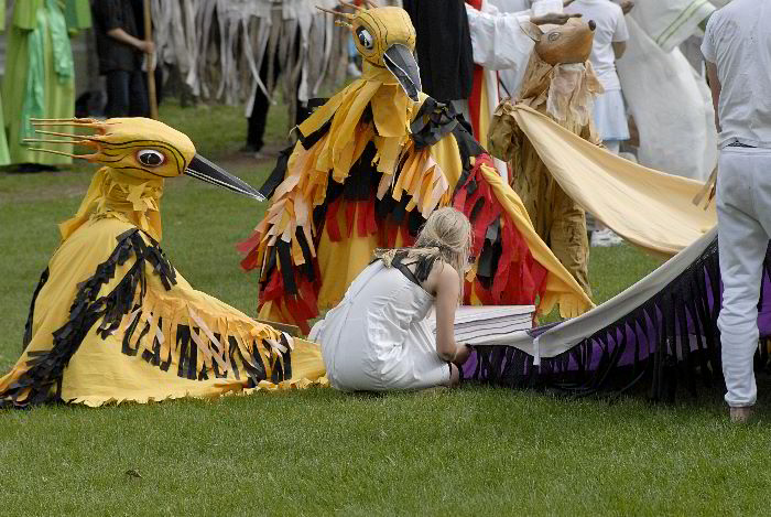 ddb 20060507 010-255