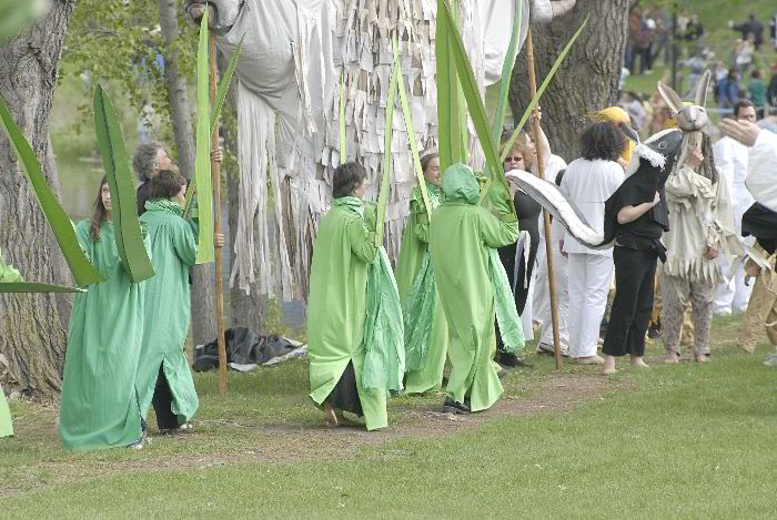 ddb 20060507 010-270