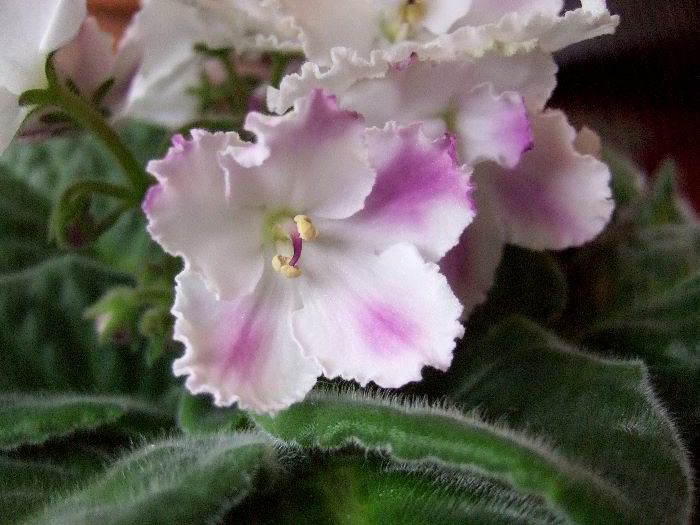 ddb 20060513 010-005