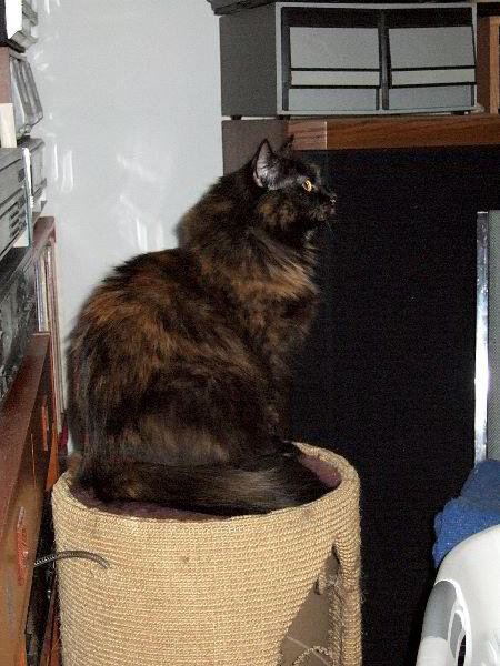 ddb 20060602 010-007