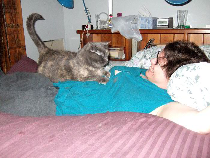 ddb 20060608 010-003