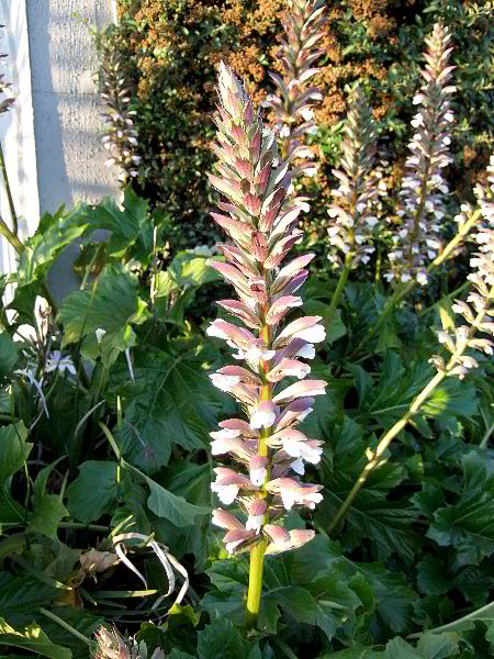 ddb 20060613 010-001