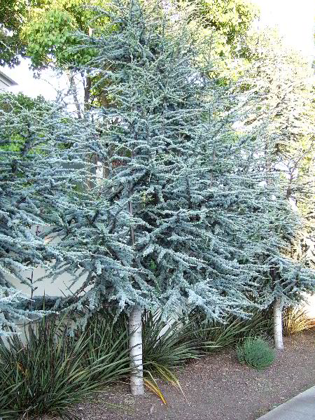 ddb 20060613 010-009