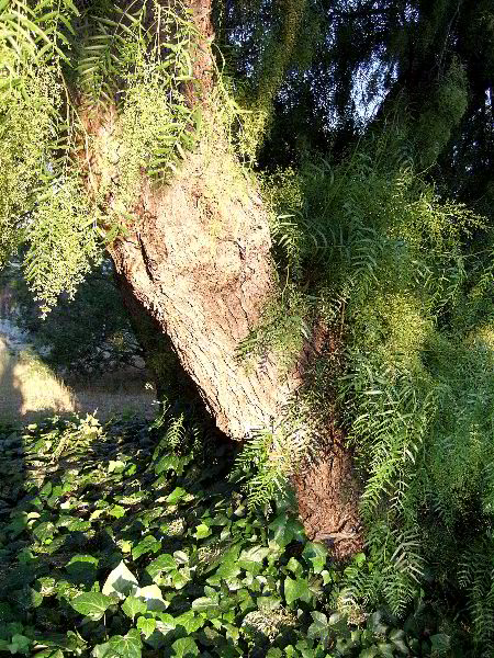 ddb 20060613 010-010