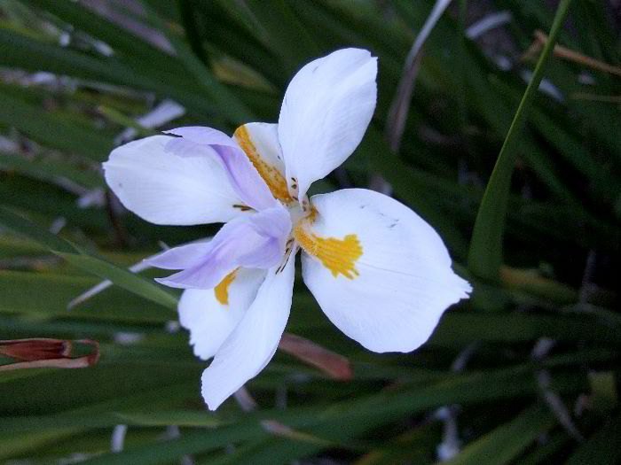 ddb 20060613 010-027