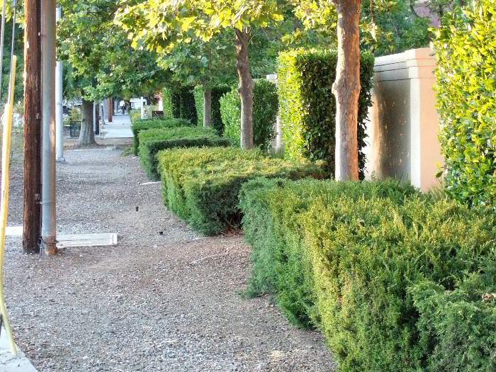 ddb 20060613 010-038