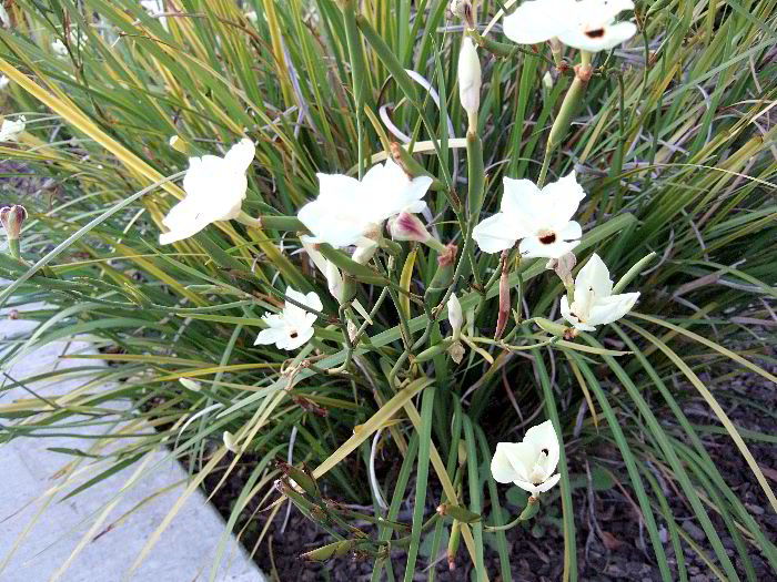 ddb 20060613 010-039