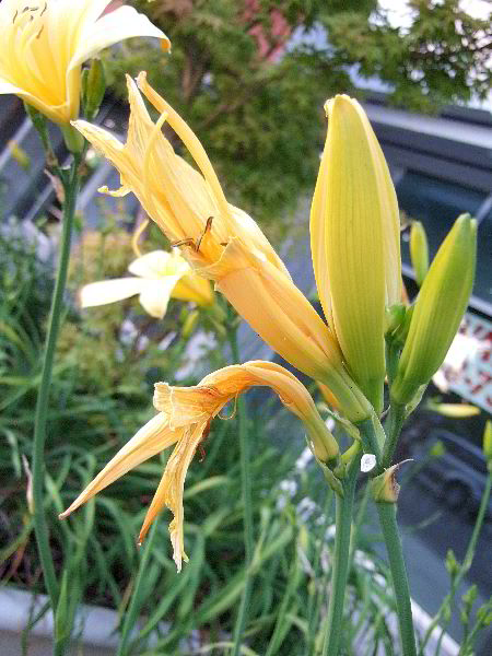 ddb 20060613 010-045