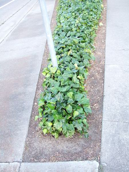 ddb 20060613 010-053