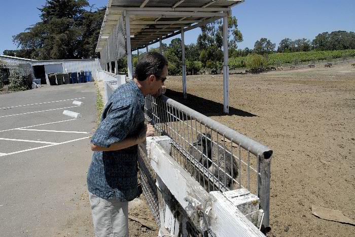 ddb 20060617 010-006