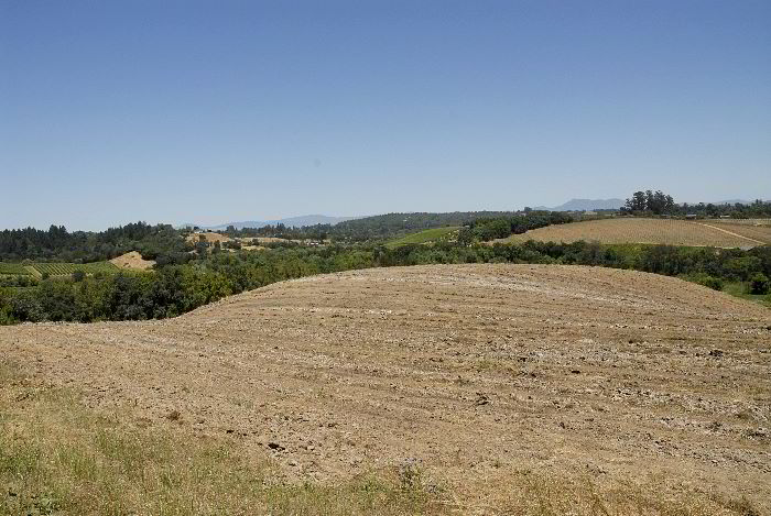 ddb 20060617 010-015