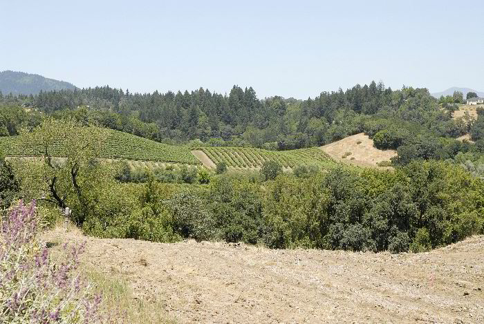 ddb 20060617 010-016