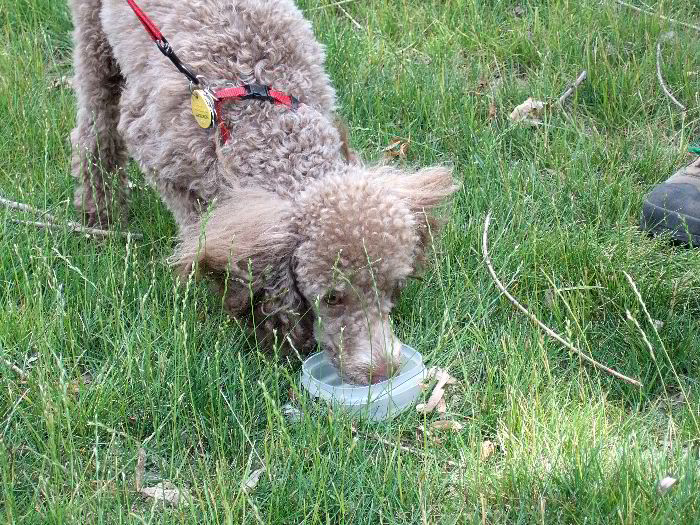 ddb 20060704 010-004