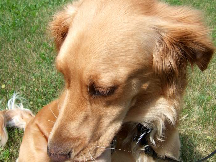 ddb 20060704 010-027