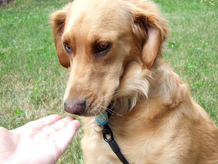 ddb 20060704 010-029