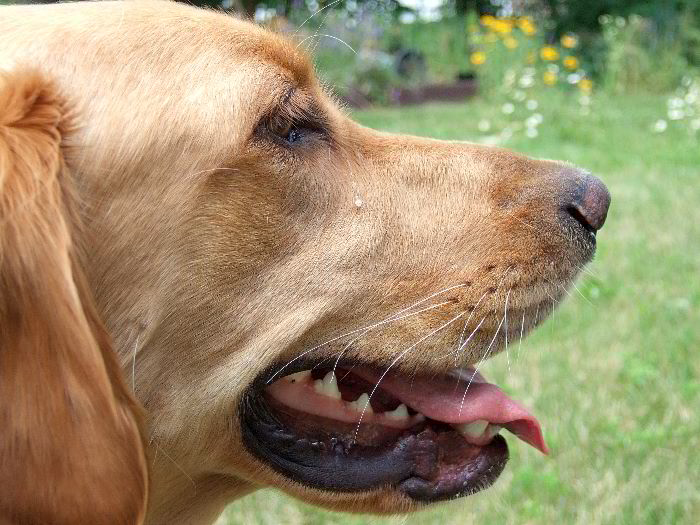 ddb 20060704 010-031