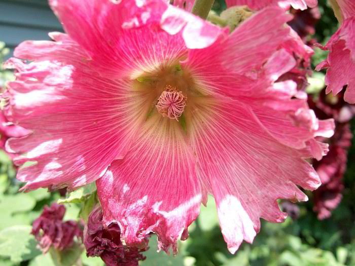 ddb 20060705 010-014