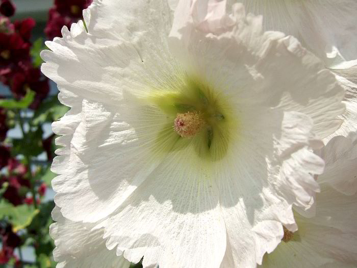 ddb 20060705 010-016