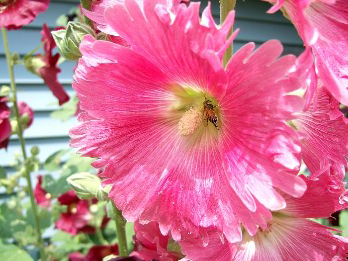 ddb 20060705 010-017