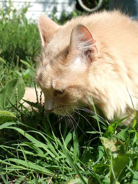 ddb 20060814 010-019