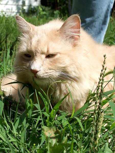 ddb 20060814 010-020