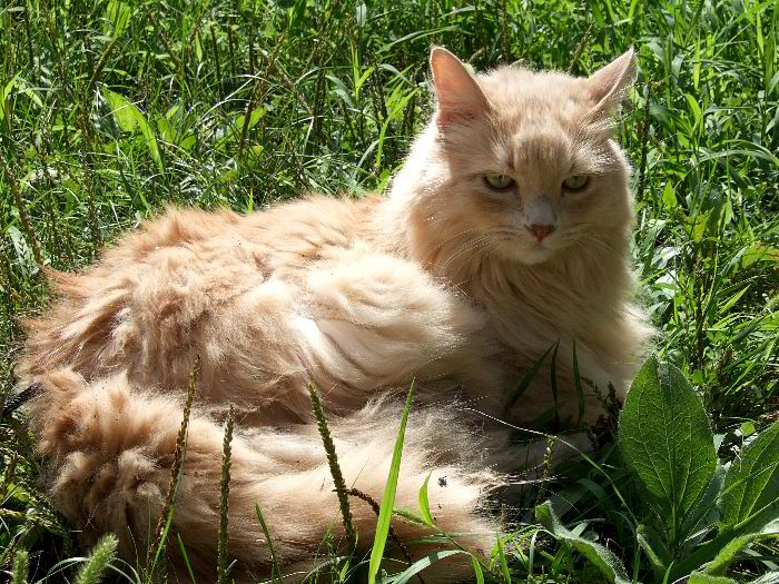 ddb 20060814 010-021