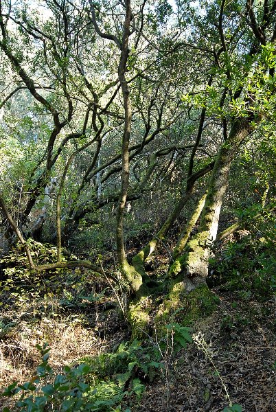 ddb 20061007 010-078