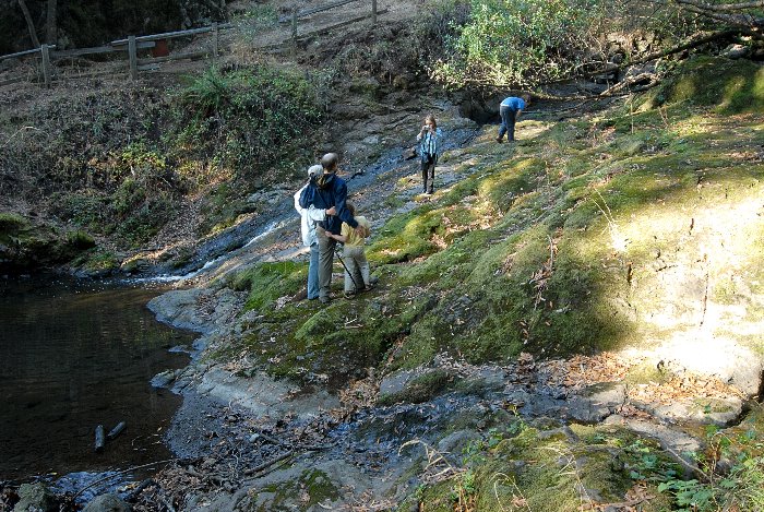 ddb 20061007 010-083