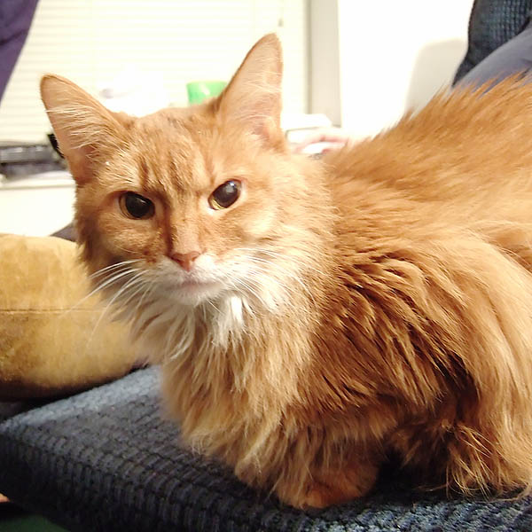 ddb 20061213 010-017