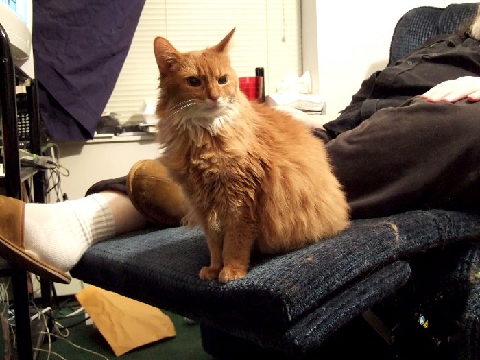 ddb 20070105 010-012