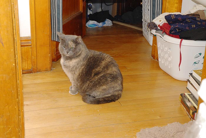 ddb 20070126 010-021