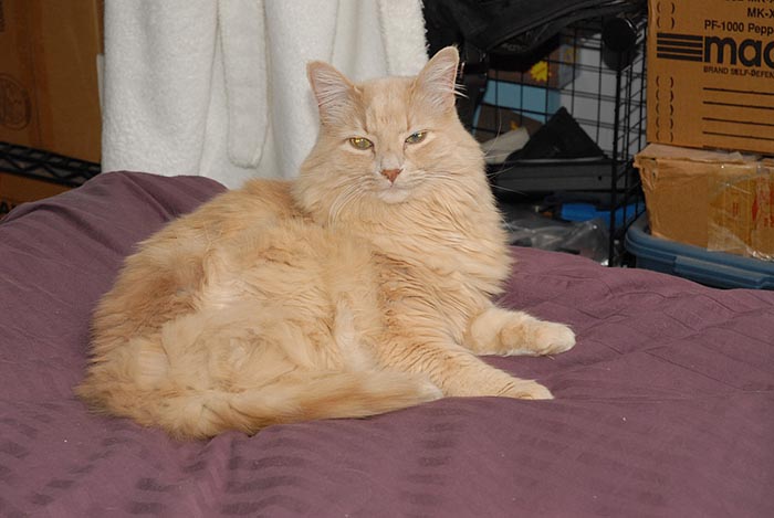 ddb 20070126 010-023