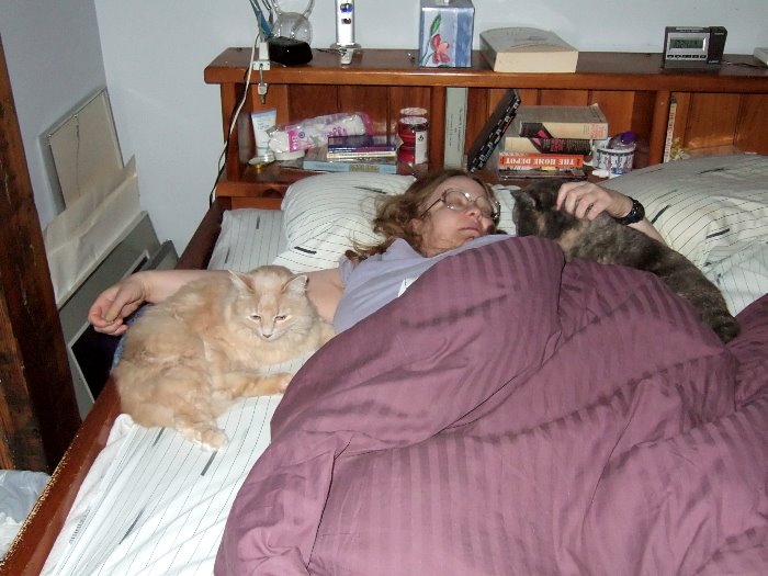 ddb 20070212 010-004