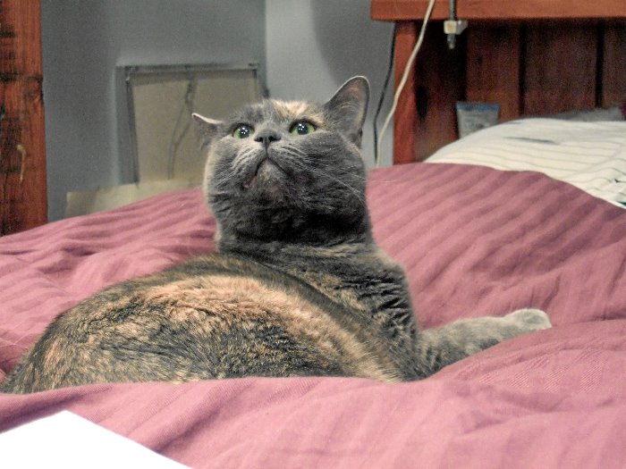 ddb 20070225 010-013