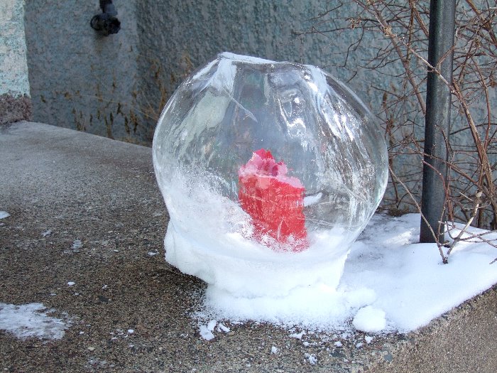 ddb 20070211 010-003