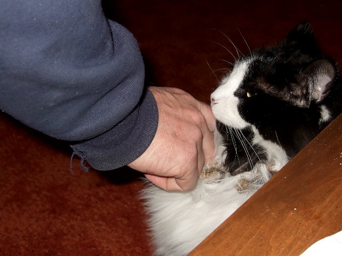 ddb 20070210 010-028