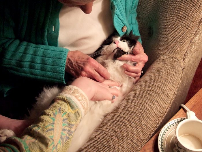 ddb 20070210 010-034