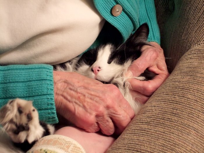 ddb 20070210 010-039