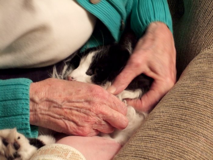 ddb 20070210 010-040