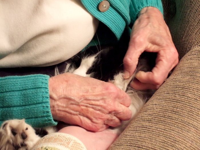 ddb 20070210 010-041