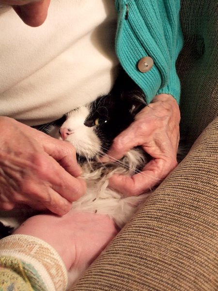 ddb 20070210 010-045