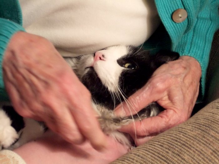 ddb 20070210 010-049