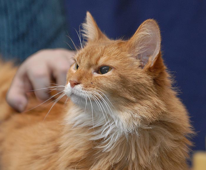 ddb 20070212 020-005